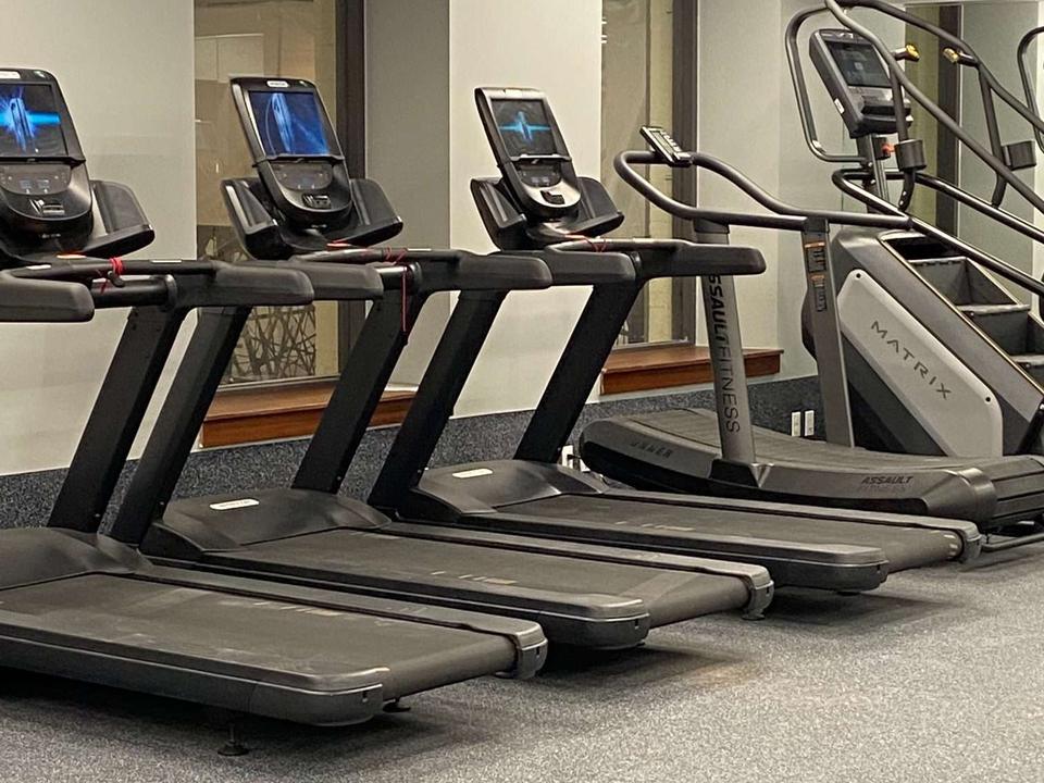 A row of treadmills and a stair climber on the studio floor